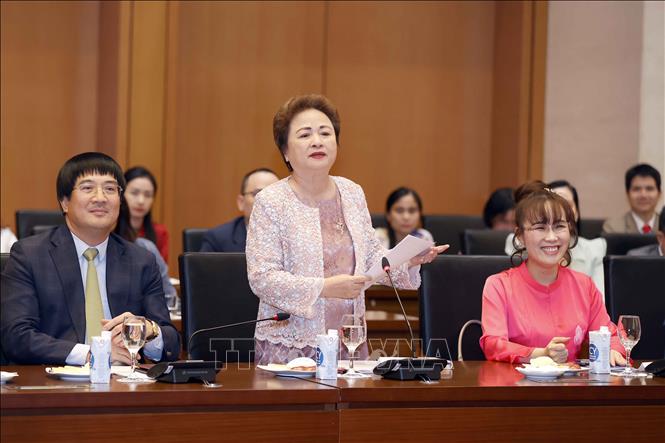 Bà Nguyễn Thị Nga, Chủ tịch Tập đoàn BRG phát biểu tại buổi gặp mặt. Ảnh: Doãn Tấn/TTXVN